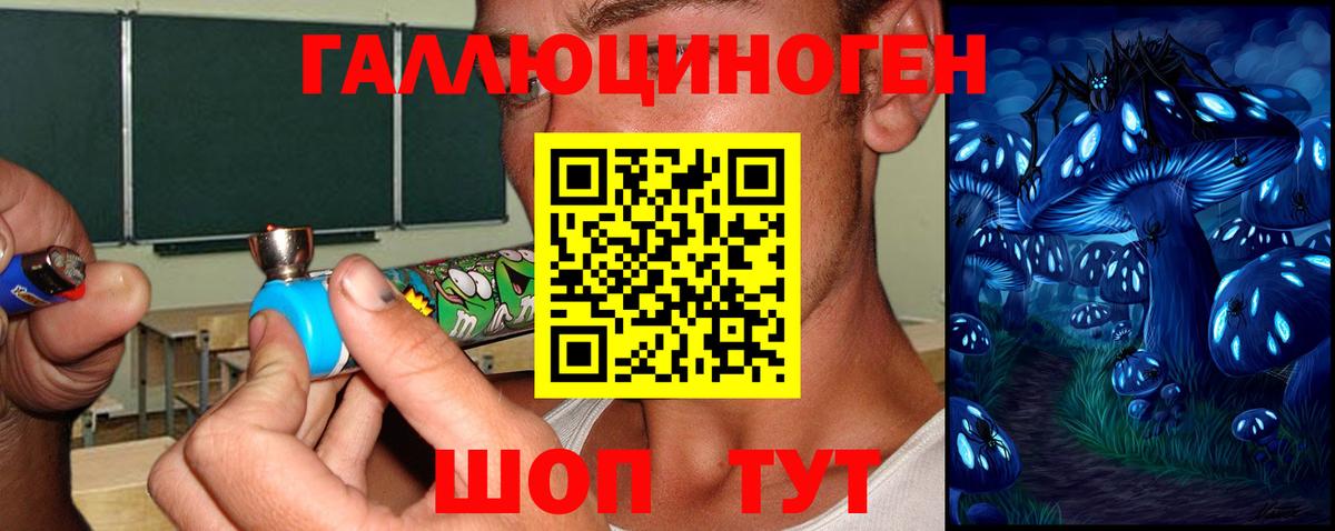 Саянск  Псилоцибиновые грибы Psilocybe  Вход с VPN 