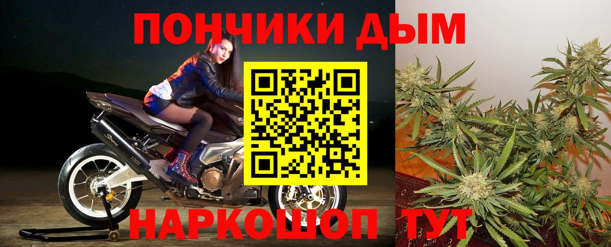 Бошки марихуана семена  Бошки Шишки конопля  Вход с VPN  Саянск  Каннабис планчик  Шишки марихуана планчик 